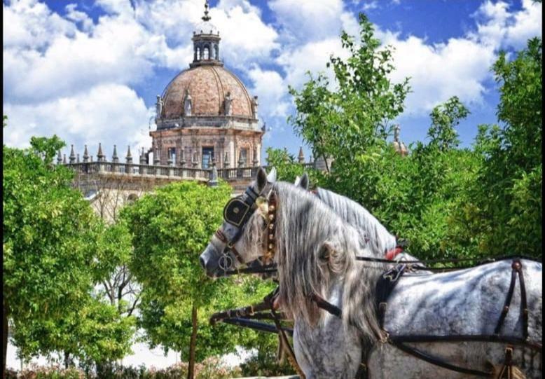 Nuevo Jerez Bahia Appartement Jerez de la Frontera